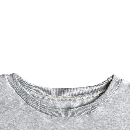 Women Basic Casual Pullover Spring Autumn Long Sleeve Chinese Style Dragon Print  Round Neck