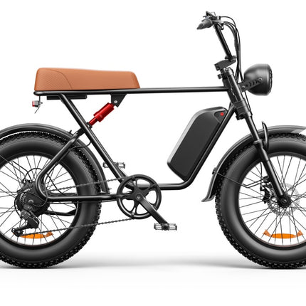 C91 - 20 Inch 20A & 17.5A Electric Bike----Buy Styles, Please See Details