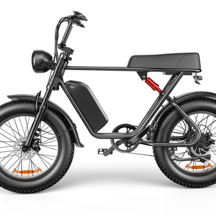 C91 - 20 Inch 20A & 17.5A Electric Bike----Buy Styles, Please See Details