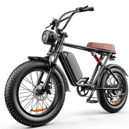 C91 - 20 Inch 20A & 17.5A Electric Bike----Buy Styles, Please See Details