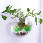Clear / 26cm